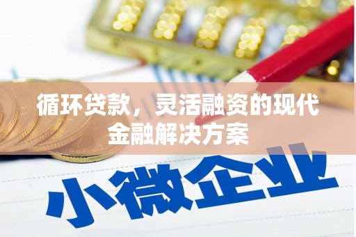 玛曲循环贷款，灵活融资的现代金融解决方案