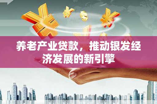 玛曲养老产业贷款，推动银发经济发展的新引擎