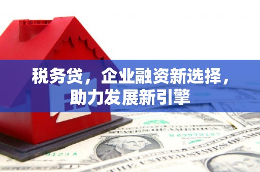 玛曲税务贷，企业融资新选择，助力发展新引擎