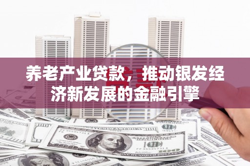 玛曲养老产业贷款，推动银发经济新发展的金融引擎