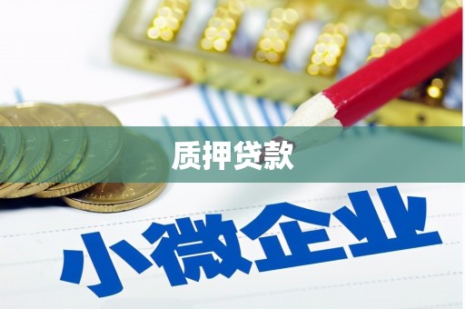 玛曲质押贷款