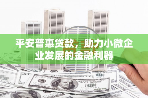 玛曲平安普惠贷款，助力小微企业发展的金融利器