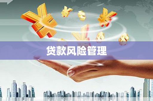 玛曲贷款风险管理