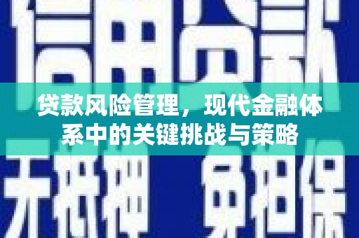 玛曲贷款风险管理，现代金融体系中的关键挑战与策略