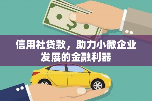 玛曲信用社贷款，助力小微企业发展的金融利器