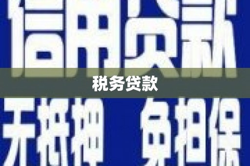玛曲税务贷款