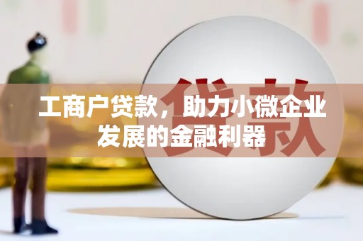 玛曲工商户贷款，助力小微企业发展的金融利器