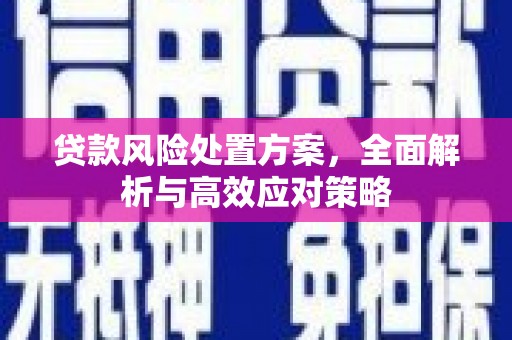 玛曲贷款风险处置方案，全面解析与高效应对策略