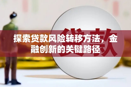 玛曲探索贷款风险转移方法，金融创新的关键路径