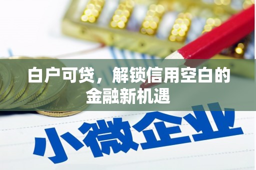 玛曲白户可贷，解锁信用空白的金融新机遇