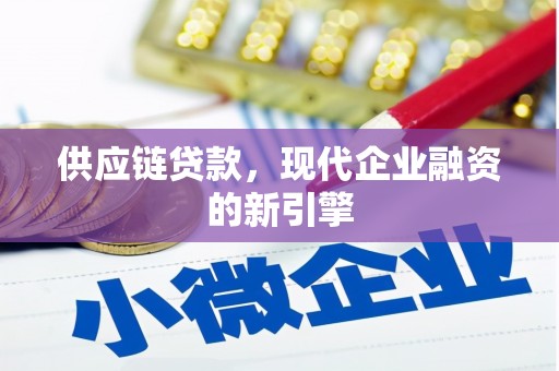 玛曲供应链贷款，现代企业融资的新引擎