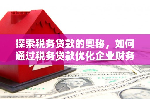玛曲探索税务贷款的奥秘，如何通过税务贷款优化企业财务