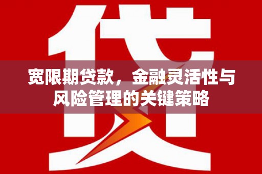 玛曲宽限期贷款，金融灵活性与风险管理的关键策略