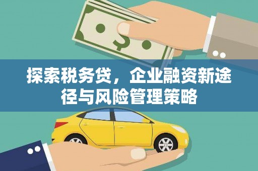 玛曲探索税务贷，企业融资新途径与风险管理策略