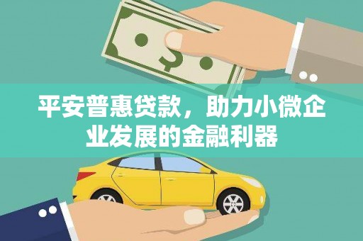 玛曲平安普惠贷款，助力小微企业发展的金融利器