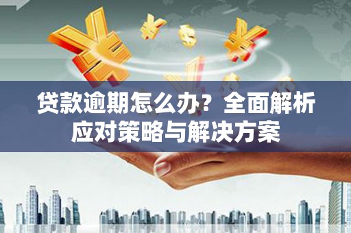 玛曲贷款逾期怎么办？全面解析应对策略与解决方案