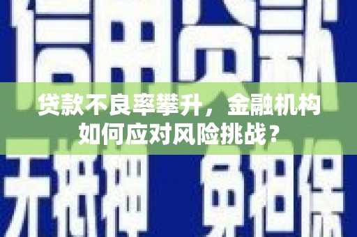 玛曲贷款不良率攀升，金融机构如何应对风险挑战？