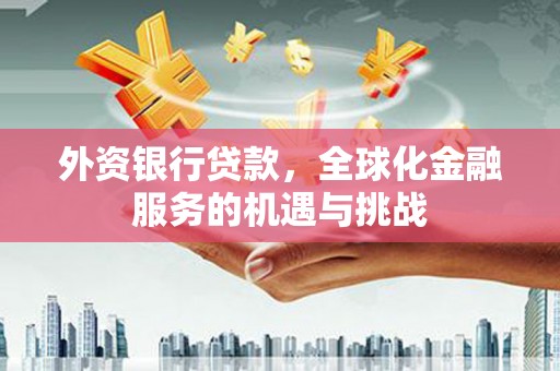玛曲外资银行贷款，全球化金融服务的机遇与挑战
