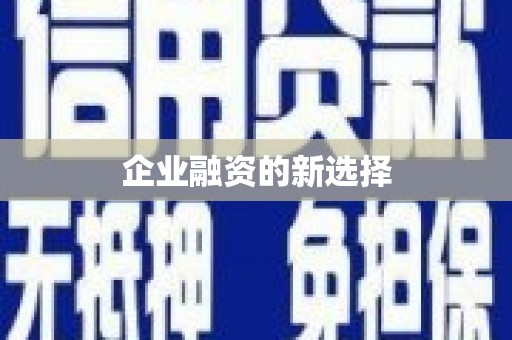 玛曲企业融资的新选择