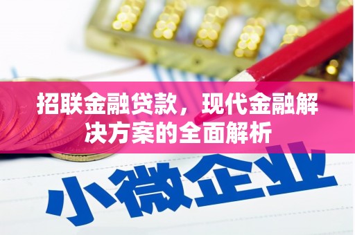 玛曲招联金融贷款，现代金融解决方案的全面解析