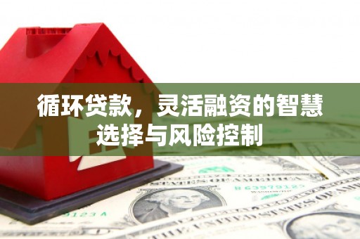 玛曲循环贷款，灵活融资的智慧选择与风险控制