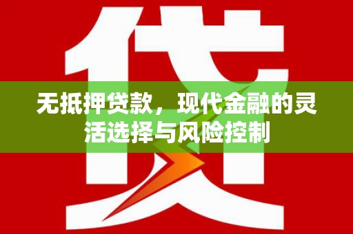 玛曲无抵押贷款，现代金融的灵活选择与风险控制