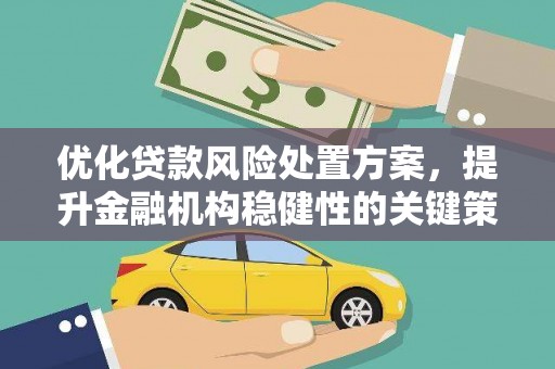玛曲优化贷款风险处置方案，提升金融机构稳健性的关键策略