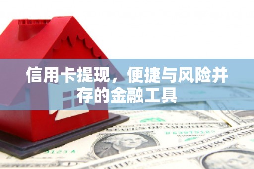 玛曲信用卡提现，便捷与风险并存的金融工具