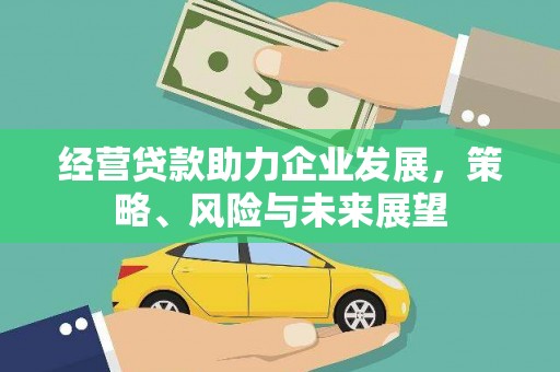 玛曲经营贷款助力企业发展，策略、风险与未来展望