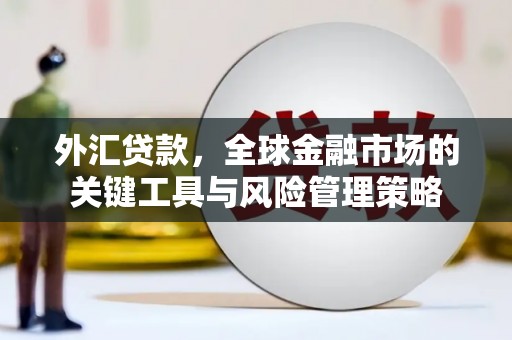 玛曲外汇贷款，全球金融市场的关键工具与风险管理策略