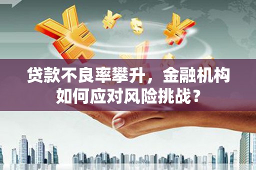 玛曲贷款不良率攀升，金融机构如何应对风险挑战？