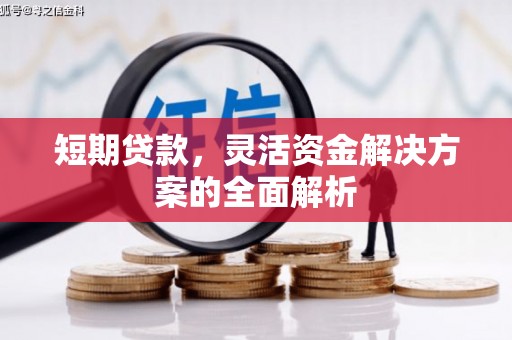 玛曲短期贷款，灵活资金解决方案的全面解析