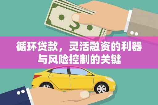 玛曲循环贷款，灵活融资的利器与风险控制的关键