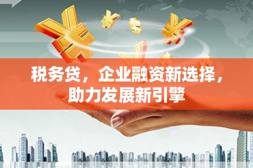 玛曲税务贷，企业融资新选择，助力发展新引擎
