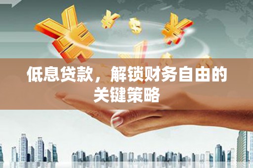 玛曲低息贷款，解锁财务自由的关键策略