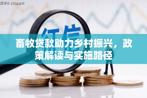 玛曲畜牧贷款助力乡村振兴，政策解读与实施路径