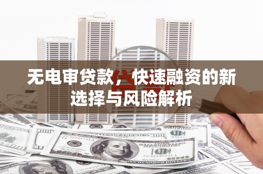 玛曲无电审贷款，快速融资的新选择与风险解析