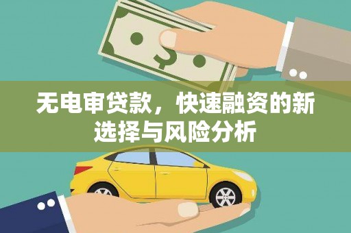 玛曲无电审贷款，快速融资的新选择与风险分析
