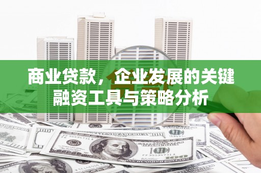 玛曲商业贷款，企业发展的关键融资工具与策略分析