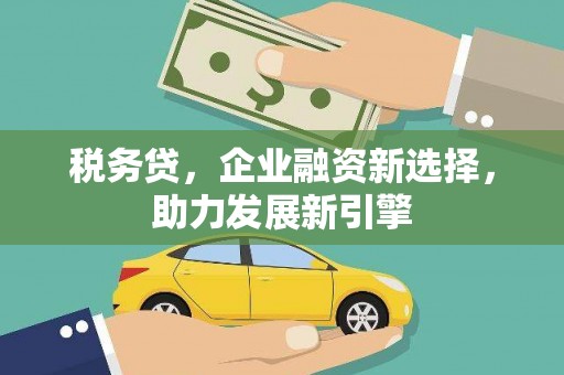 玛曲税务贷，企业融资新选择，助力发展新引擎