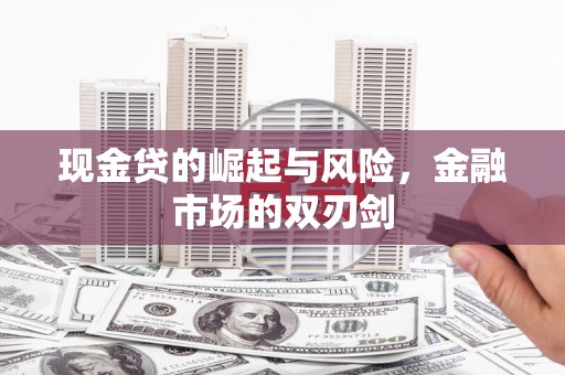 玛曲现金贷的崛起与风险，金融市场的双刃剑