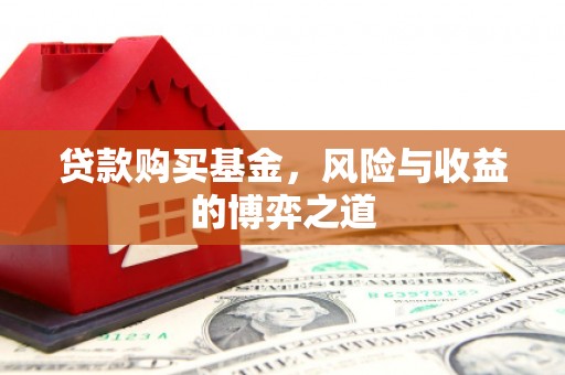 玛曲贷款购买基金，风险与收益的博弈之道