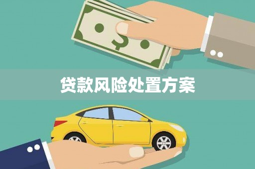 玛曲贷款风险处置方案