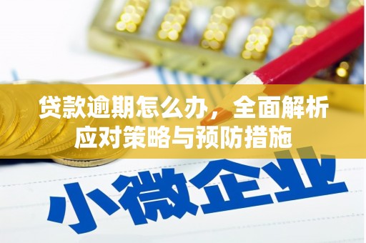玛曲贷款逾期怎么办，全面解析应对策略与预防措施