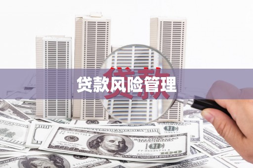 玛曲贷款风险管理