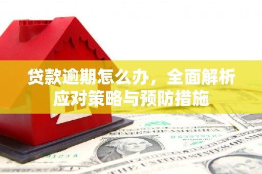 玛曲贷款逾期怎么办，全面解析应对策略与预防措施