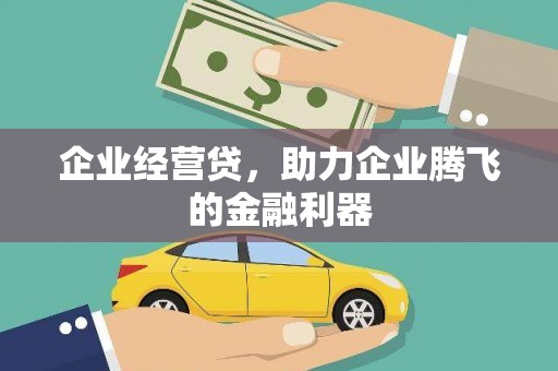玛曲企业经营贷，助力企业腾飞的金融利器