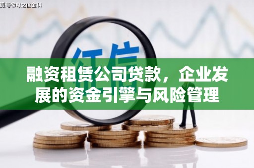 玛曲融资租赁公司贷款，企业发展的资金引擎与风险管理