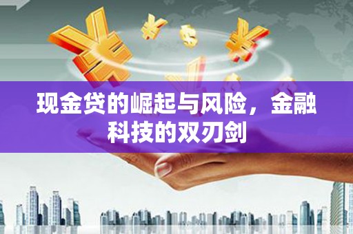 玛曲现金贷的崛起与风险，金融科技的双刃剑