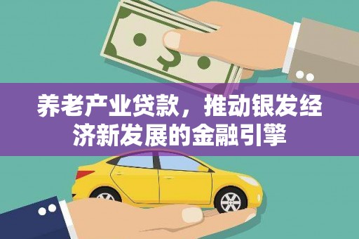 玛曲养老产业贷款，推动银发经济新发展的金融引擎